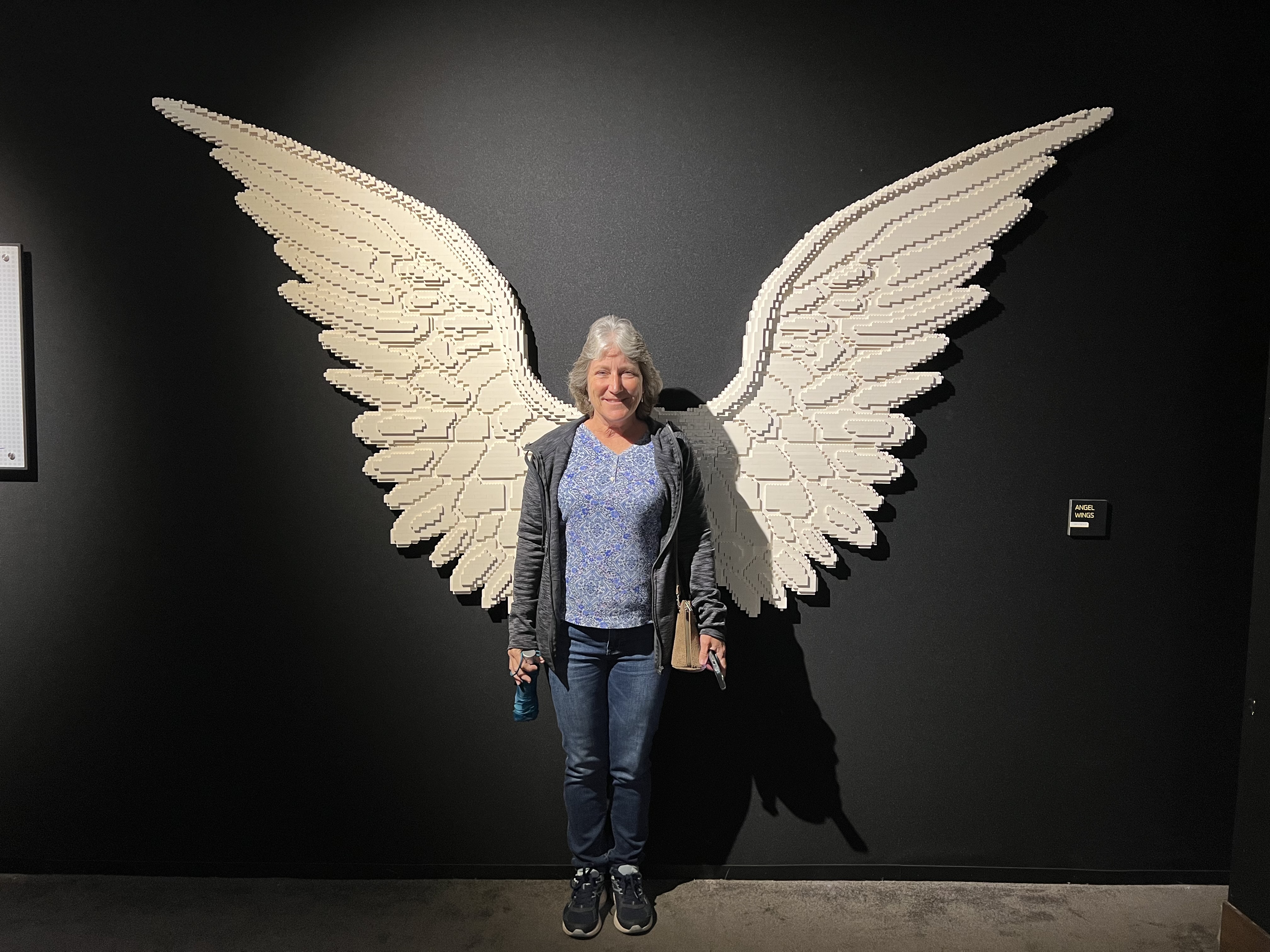 ./2023/07 - Art of the Brick/IMG_9510.JPG